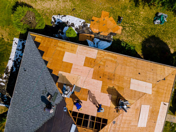 Best Metal Roofing Contractor  in Heceta Beach, OR