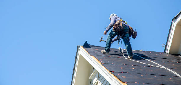 Best Roof Gutter Cleaning  in Heceta Beach, OR